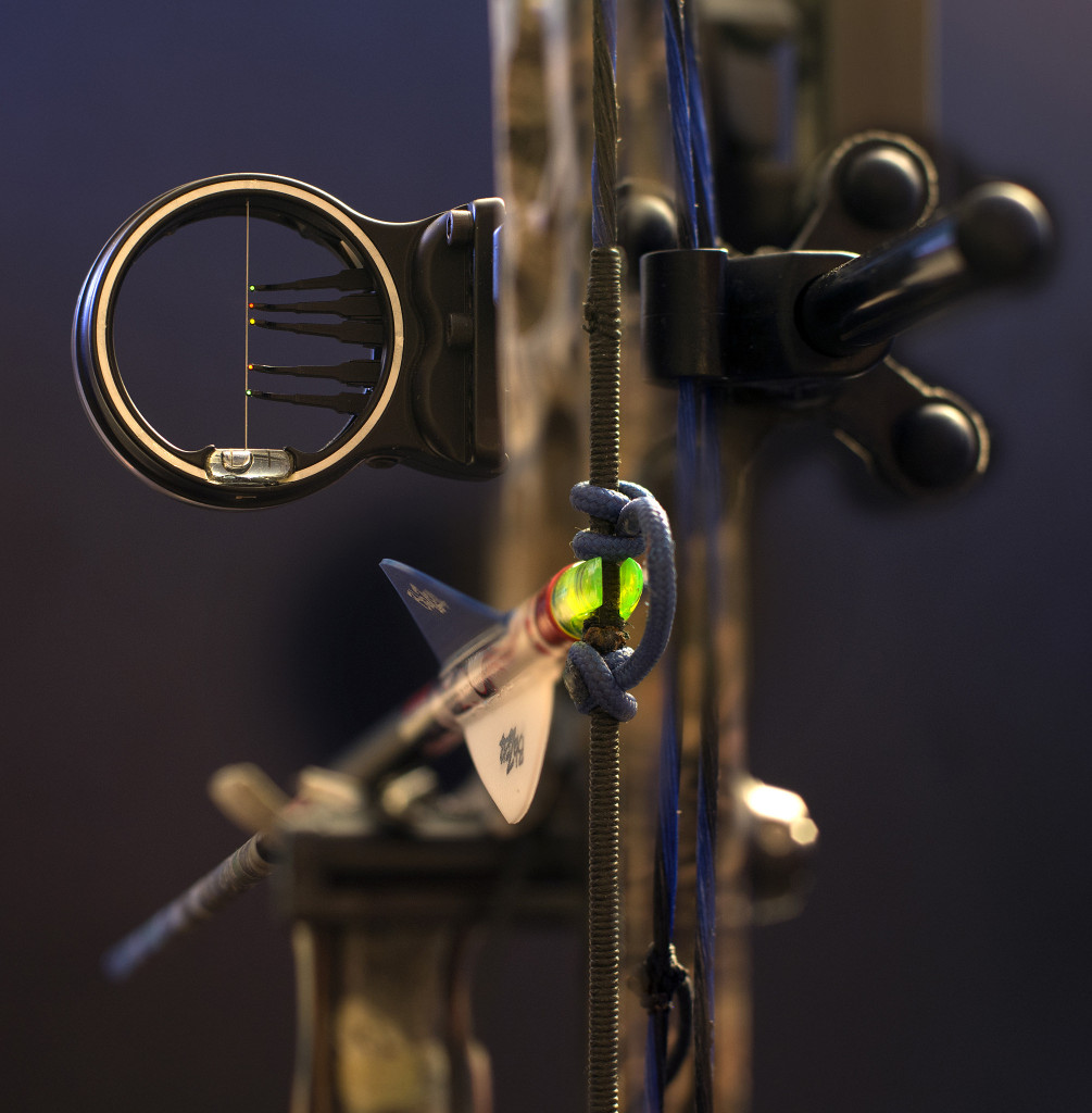 The Infinite Curve an archery blog